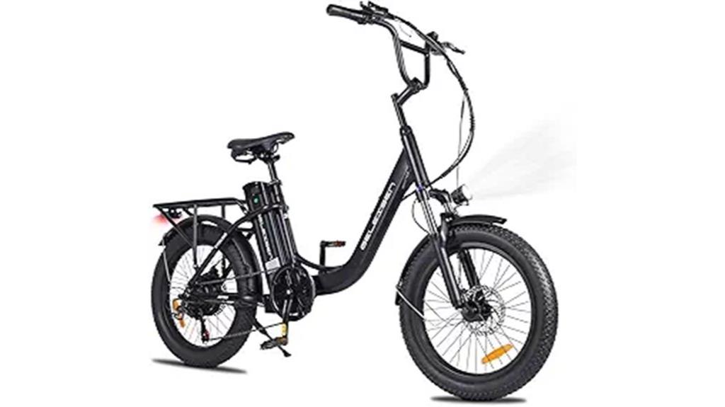 adult 1000w electric bike