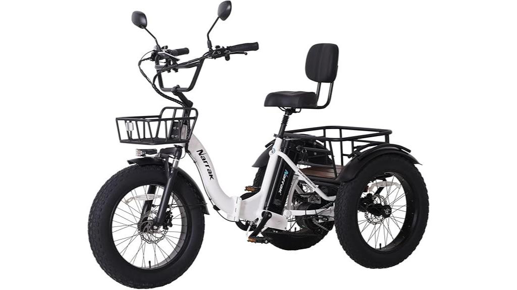 adult electric tricycle
