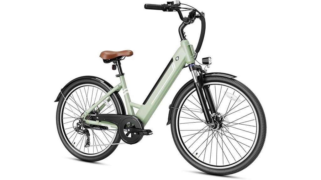 electric adult bicycle model
