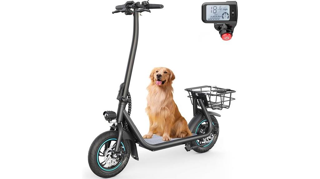 electric adult scooter model
