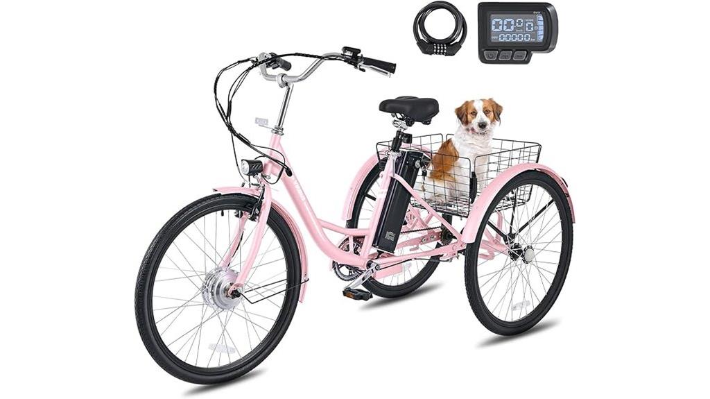electric adult tricycle