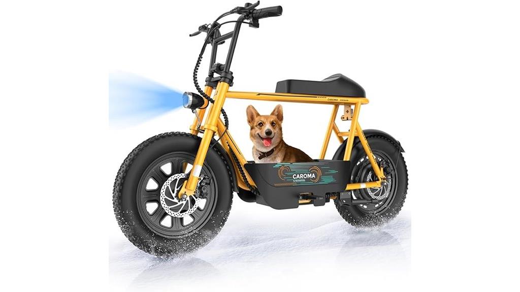 electric scooter with seat