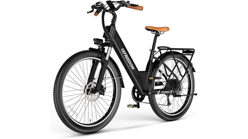 high power adult electric bike