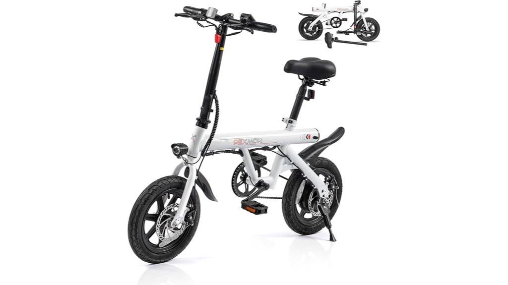 adult electric bike