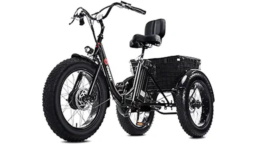 adult electric tricycle