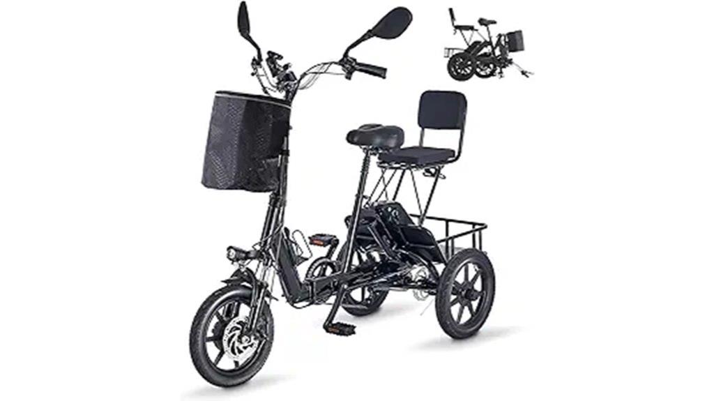 adult electric tricycle with removable battery