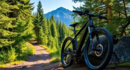 affordable mountain e bikes