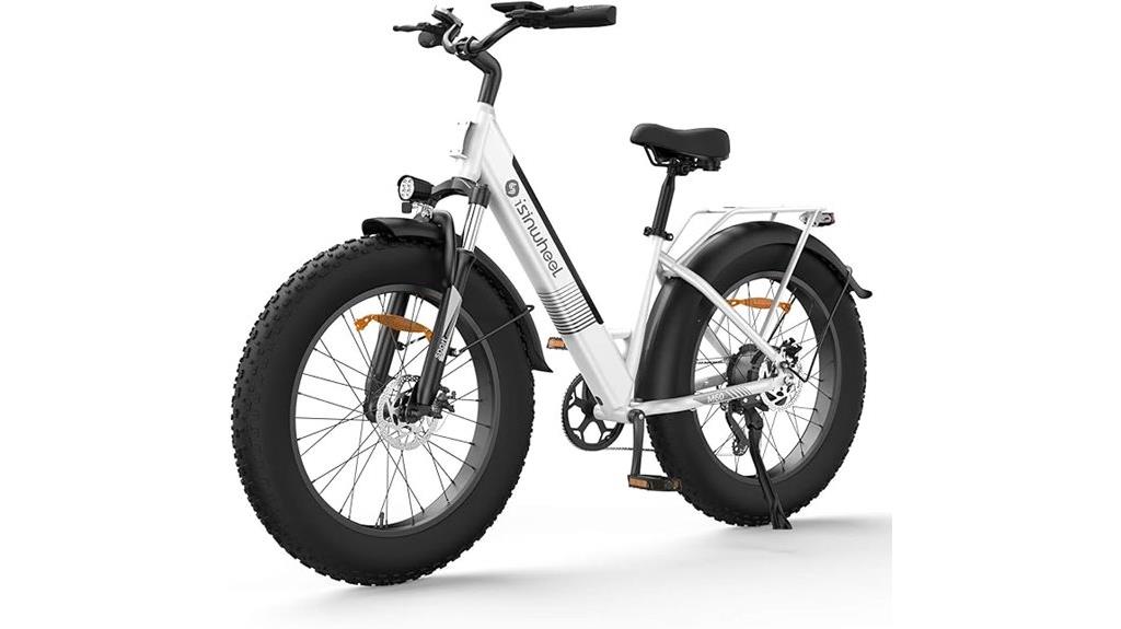 electric adult bike 750w