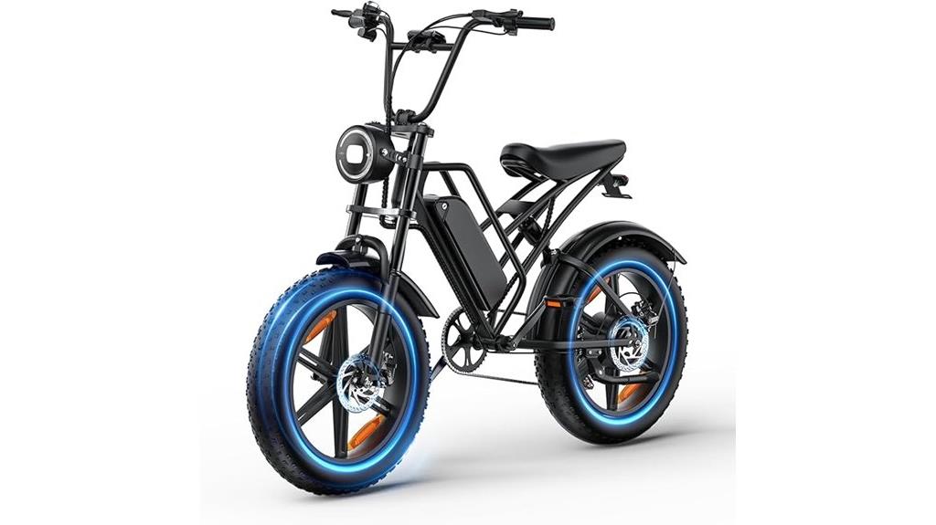 electric adult fat tire bike