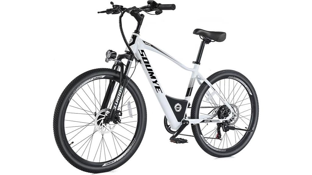 electric adult mountain bike