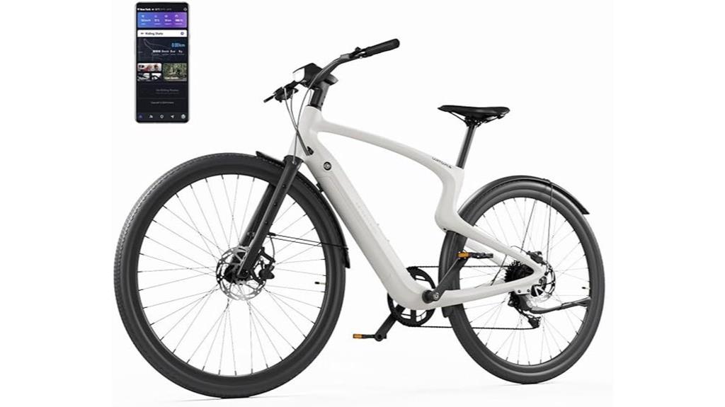 electric adult mountain bike