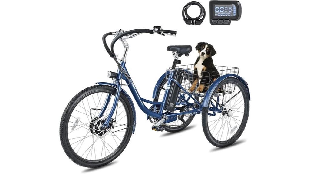 electric adult tricycle battery