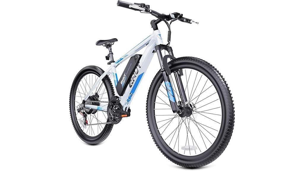 electric bike for adults
