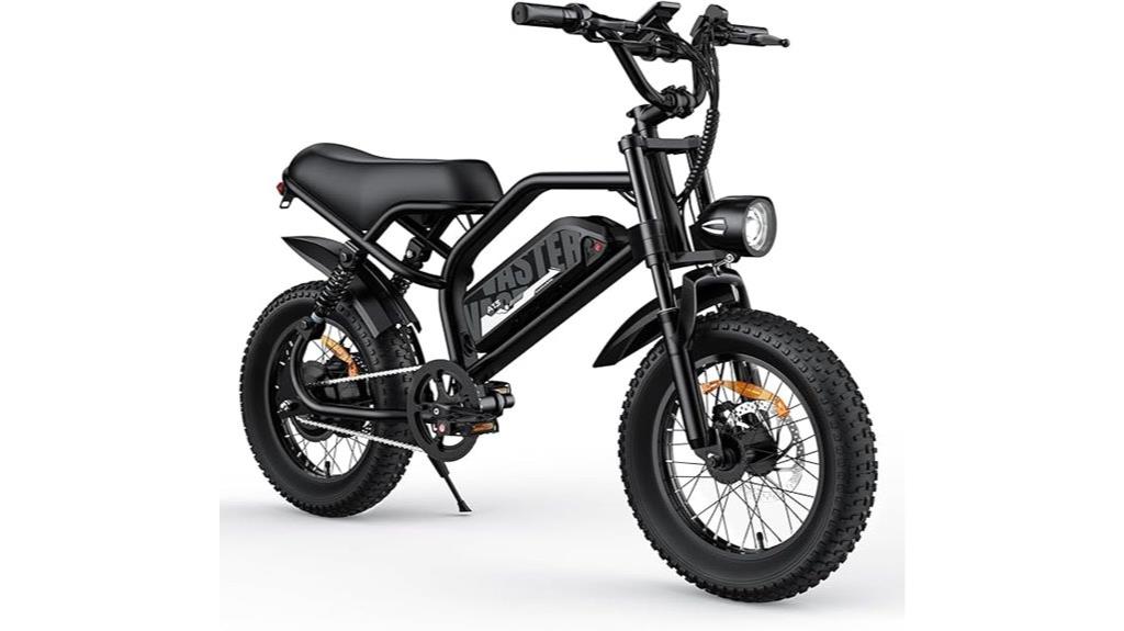 electric bike with fat tires