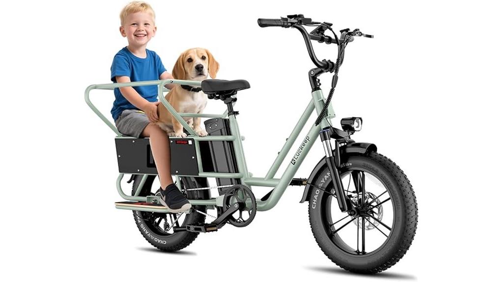 electric cargo bike power