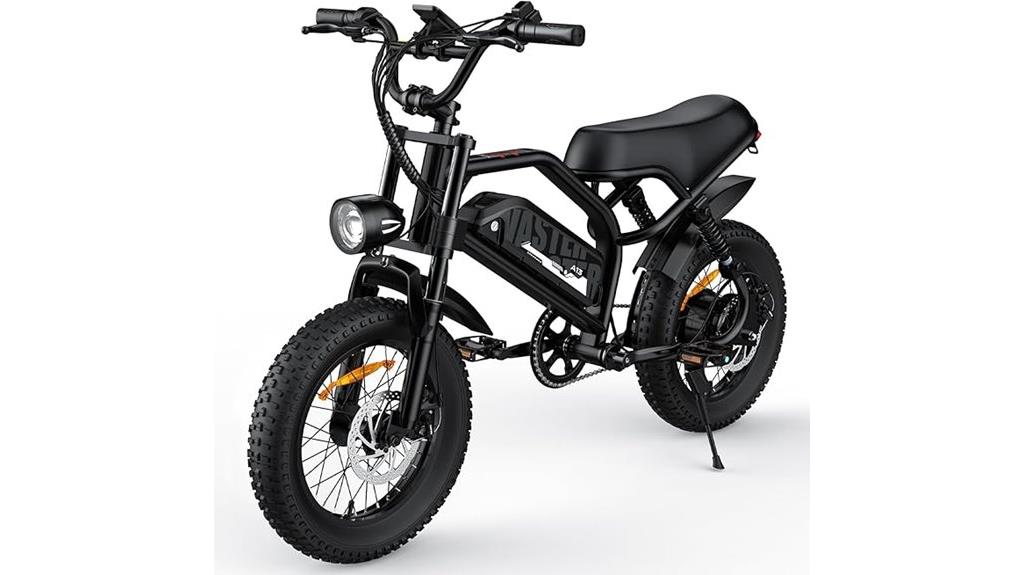 electric fat tire bike