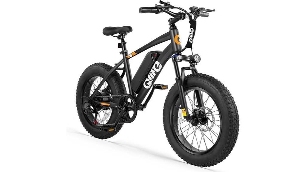 electric fat tire bike