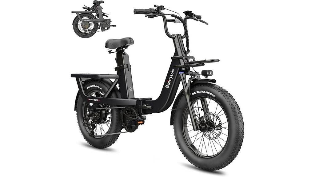 electric fat tire bike