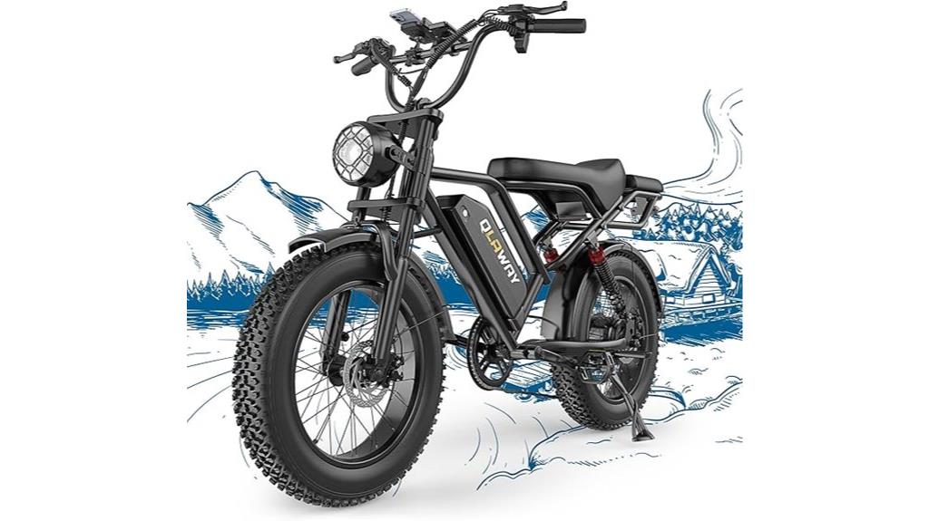 electric fat tire bike