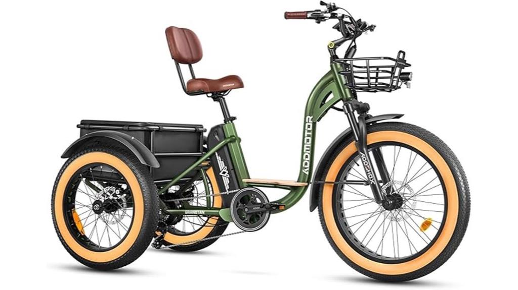 electric tricycle for adults