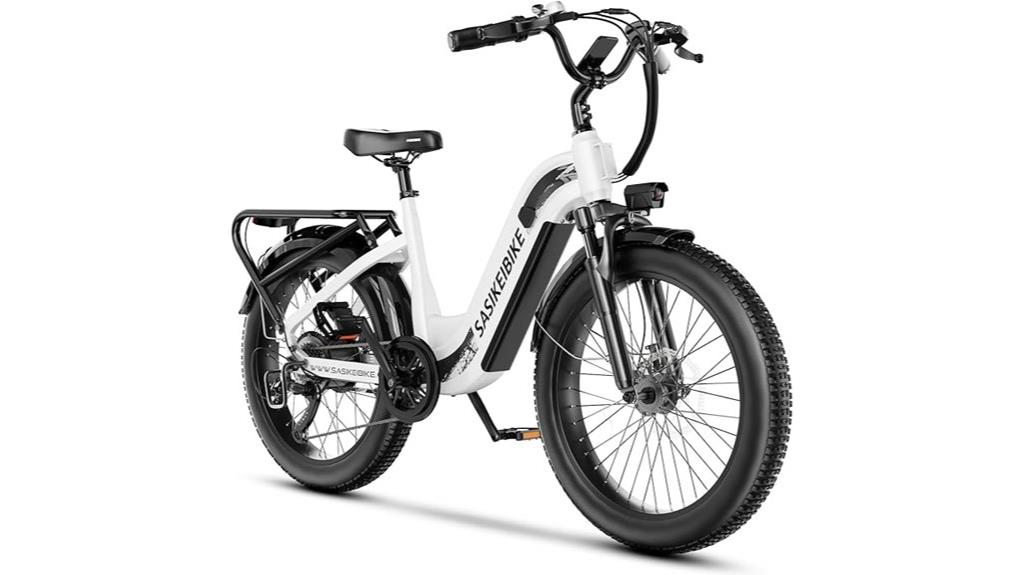 high power 48v electric bike