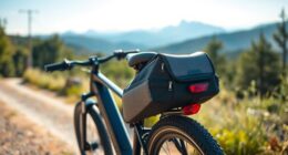 top e bike saddlebags review
