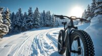 top snow fat tire e bikes