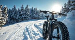 top snow fat tire e bikes