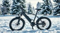 winter e bike savings