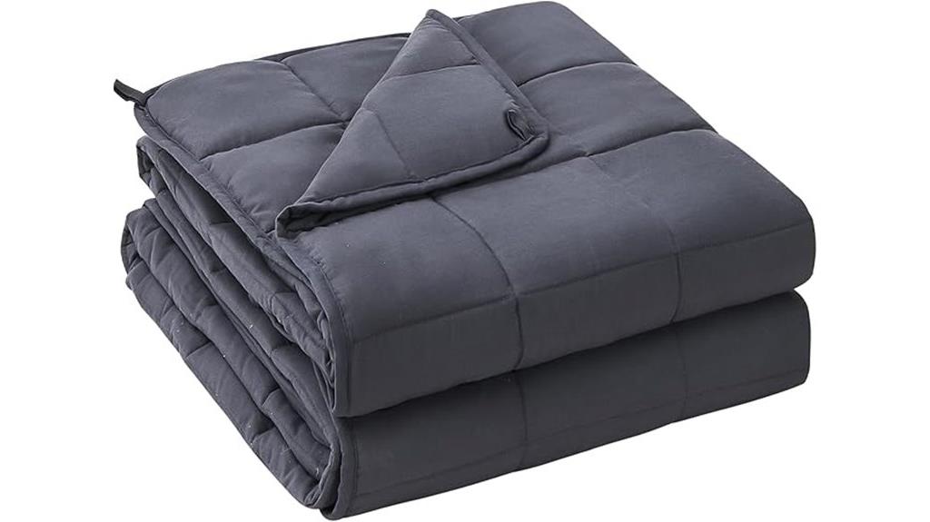 20 lbs queen size blanket