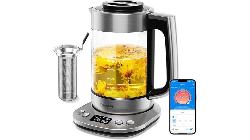 electric kettle with infuser