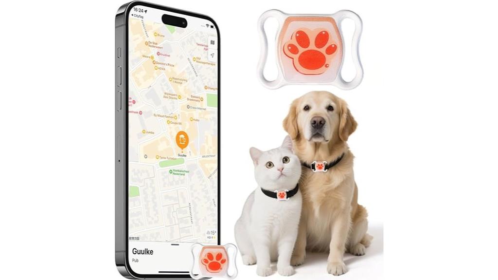 indoor and outdoor cat monitoring