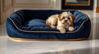 luxury dog bed options