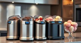 luxury home ice cream makers