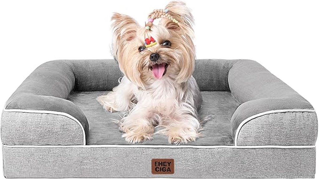 orthopedic small dog bed