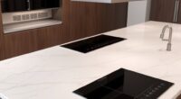 premium induction cooktops