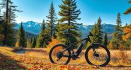 provincial e bike regulations summary