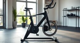 top indoor cycling bikes