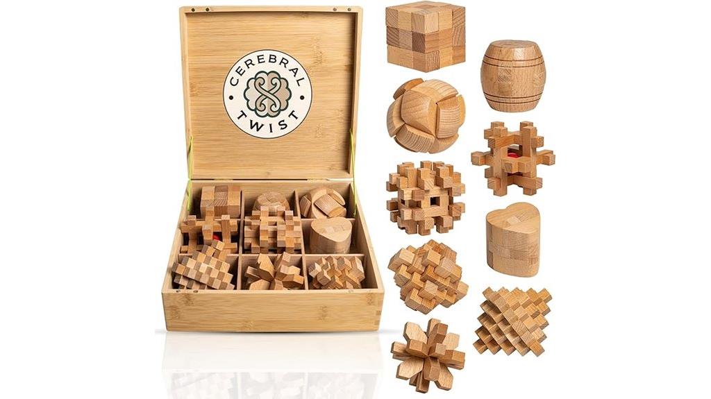 wooden puzzle brain teasers