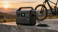 top 2000w e bike chargers