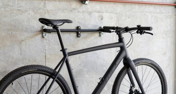 heavy bike wall mount