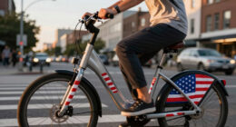 10 Best Electric Bike Patriotic Decals in 2026